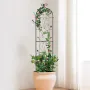 Metal espalier til klatreplantestøtte 60 x 15 tommer rustfri