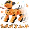 RC Robot Dog Toy Talking Dancing Touch & Voice Remote Control Programmerbar