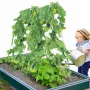 A-ramme agurkeespalier 91 x 143 cm foldbart metalhaveespalier