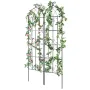 Garden Trellis for Climbing Plants, 71 x 20 in, 2 Packs Rustproof Metal Garden Flower Trellis, Outdoor Climbing Rose Trellis Cuc