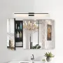 Medicine Cabinet, 25.5 x 40 inch, Medicine Cabinet for Bathroom with Mirror, Aluminum Frame Bathroom Wall Cabinet, 4-layer Adjus