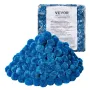 Poolfilterkugler til sandfilterpumpe Swimming Pool 3.1 lbs