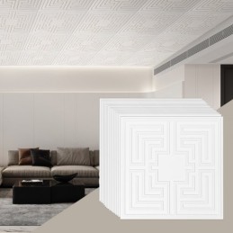 Ceiling Tiles 12-Pack 24 x 24 in PVC Easy Installation White Echo Pattern
