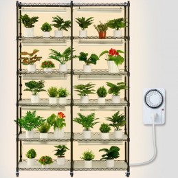 Plantestativ med Grow Light 6 Tiers 200W 59.1 "Indendørs plante voksehylde