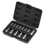 It Socket Set 13-Piece Star T8-T60 Set S2 Alloy Steel and CR-V