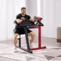 2 I 1 Preacher Curl Bench Bicep Curls and Triceps Extension