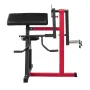 2 I 1 Preacher Curl Bench Bicep Curls and Triceps Extension