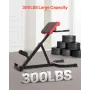 Romersk formand Back Extension Hyperextension Bench