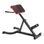 Romersk formand Back Extension Hyperextension Bench