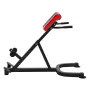 Roman Chair Hyperextension Bench, 300 lbs Adjustable Extension Machine, Multi-Function Exercise Equipment for Glute, Hamstring, 