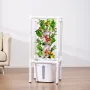 Hydroponic Growing System with Grow Light, 30 Pods Vertical 6 Tiers Hydroponic Tower, Home Hydronic Garden with Water Pump, Plan