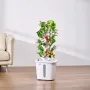Hydroponic Growing System, 30 Pods Vertical 6 Tiers Hydroponic Tower, Home Hydronic Garden with Water Pump & Timer, Water Circul