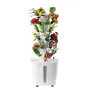 Hydroponic voksende system 30 bælg Smart hydroponic tårn