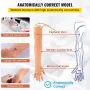 Phlebotomy Practice Kit, IV Venipuncture Intravenous Training, High Simulation IV Practice Arm Kit with Carrying Bag, Practice a