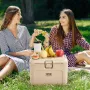 Portable Cooler, 16.5 QT Hard Cooler with Ice Retention, Heavy-Duty Handles and Cup Holder, Lightweight Rigid Material Insulated