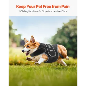 Dog Back Brace Adjustable Dog Spine Support Harness for IVDD Pain Relief