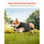 Dog Back Brace for IVDD, Orthopedic Support Back Brace for Dogs, Adjustable Pet Back Bracer with Reflective Trim, Dog Spine Supp