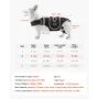 Dog Back Brace for IVDD, Orthopedic Support Back Brace for Dogs, Adjustable Pet Back Bracer with Reflective Trim, Dog Spine Supp