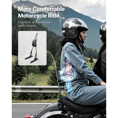 Motorcykel ryglæn sissy bar til Harley-Davidson Dana