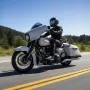 Motorcykel ryglæn sissy bar til Harley-Davidson turnerer 310 mm