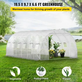 Walk-in Tunnel Greenhouse, 20 x 10 x 7 ft Portable Plant Hot House w/ Galvanized Steel Hoops, 3 Top Beams, 4 Diagonal Poles, 2