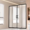 Semi-framelessÂ Double SlidingÂ Shower Door SGCC Tempered Glass Matte Black