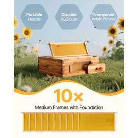 Bee Hive Langstroth Medium Beehive Kit 10 Frames Acrylic Bee Windows